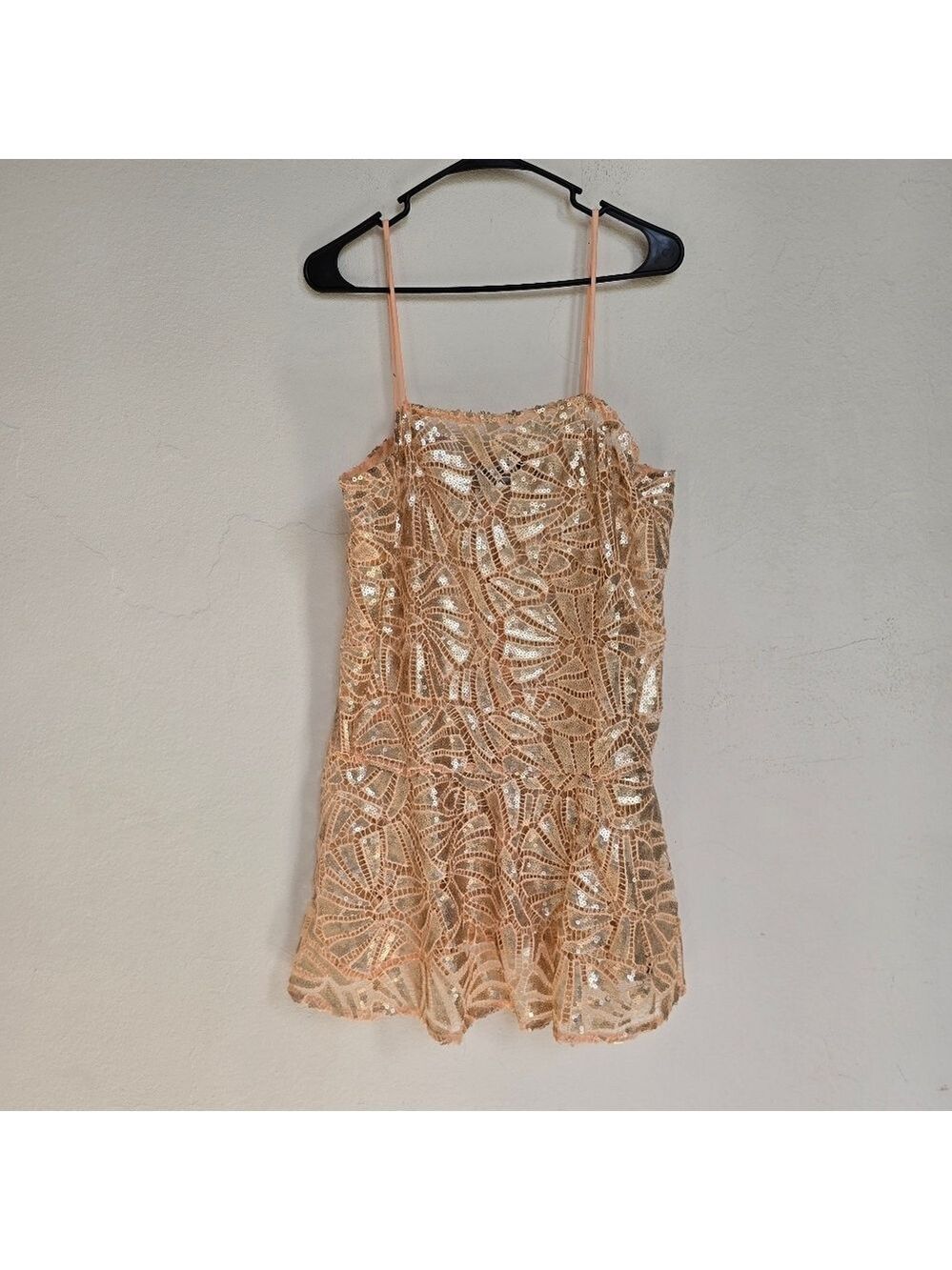 Pret a Porter Carlota Alfaro Sequin Lace Nude Fit and Flare Mini Dress Large